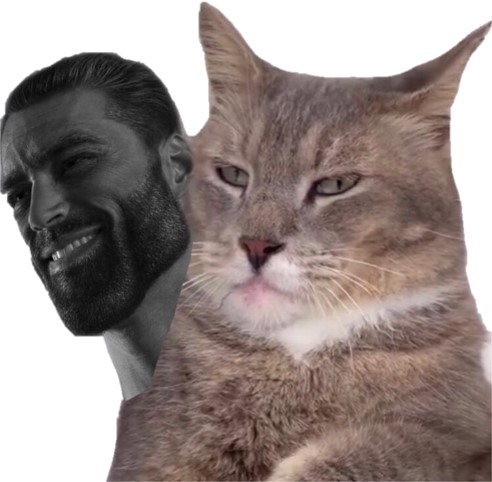 chadcat