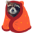 racoon