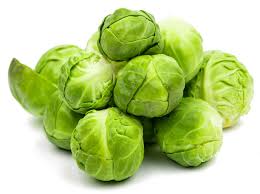 sprout