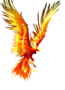 phoenix