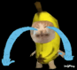 bananacat