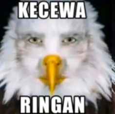 kecewa