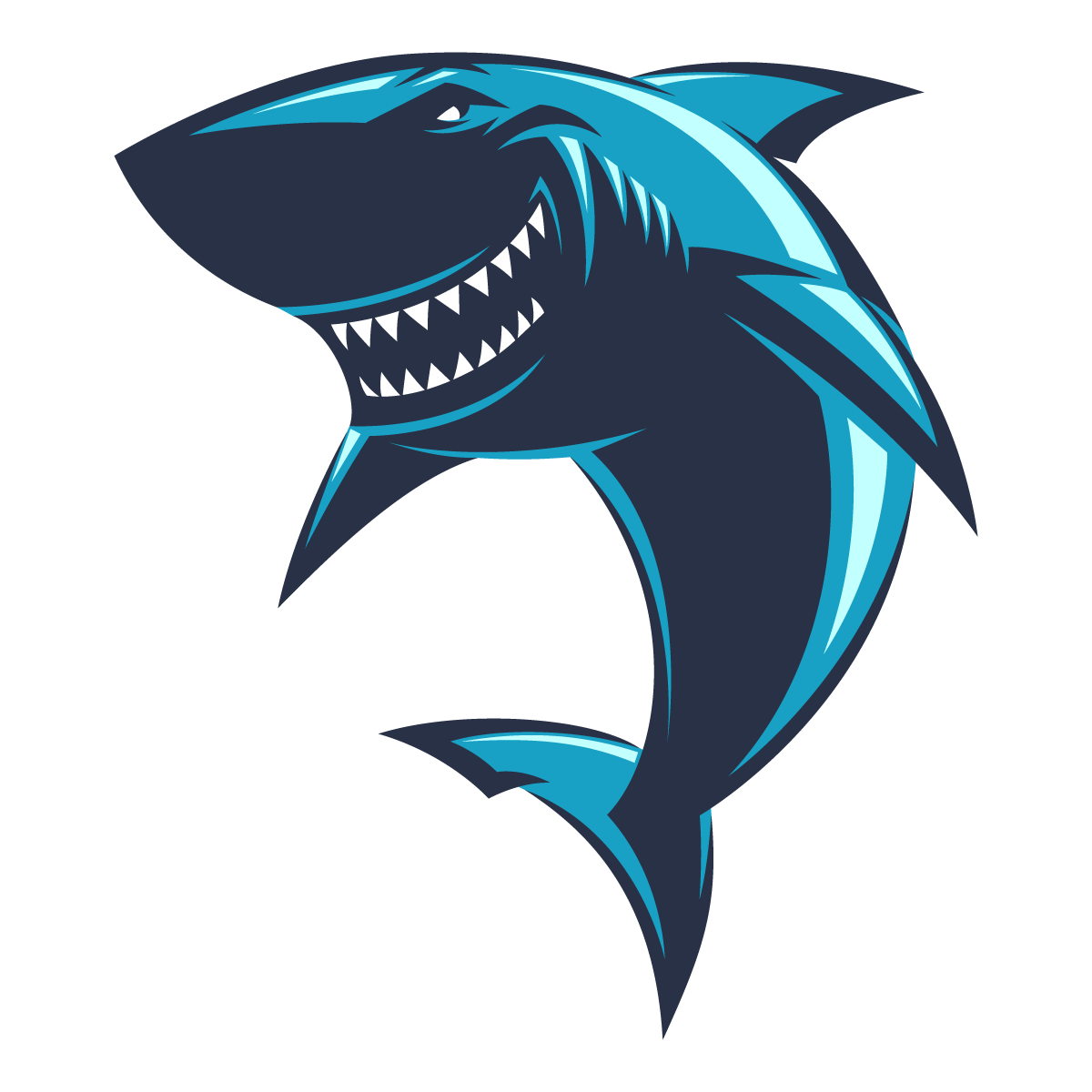 sharks1