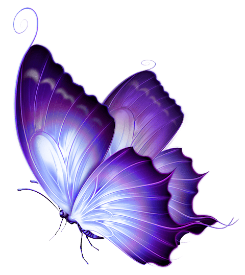 butterfly1