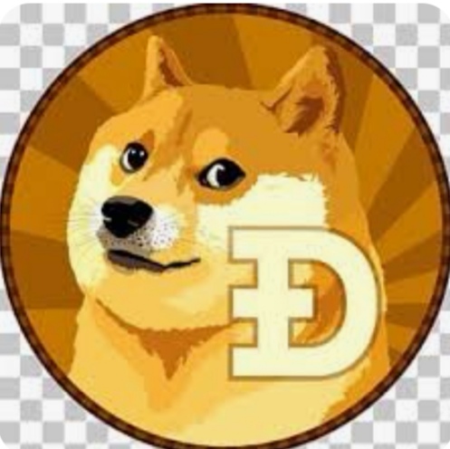 dogecoin79