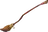 broomstick29