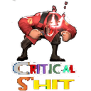 criticalshit39