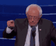 berniegif