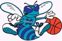 hornets