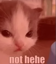 nnothehe