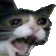 5797screamingcat