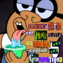 expanddong32