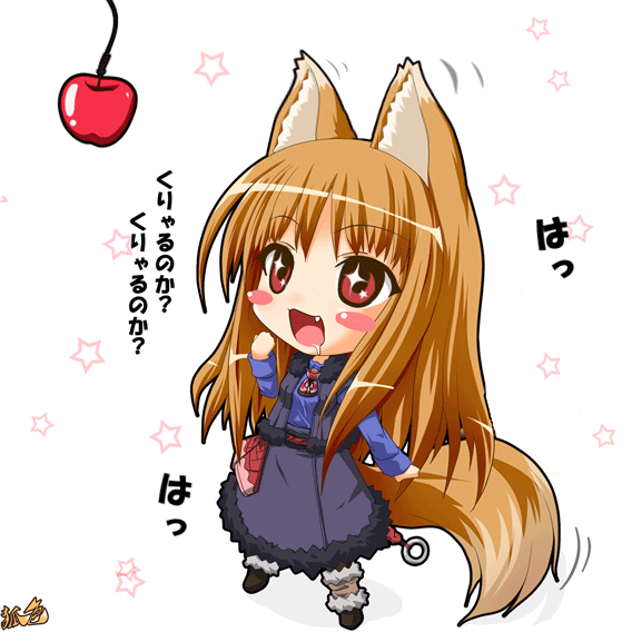 holo