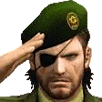 mgs