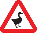 goosewarning