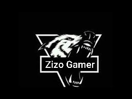 zizogamer