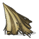 cloth57