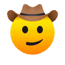 cowboyhatface58