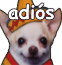 adioscardchihuah