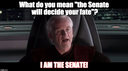 senate22