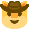 cowboycat