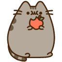 pusheenapple
