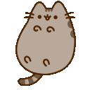 floatingpusheen