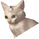 loadingcatmeme2