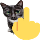 middlefingercat
