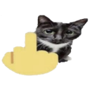 middlefingercat6