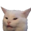 memecatbeingyell