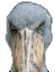 shoebill21