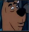 surprisedscoobyf