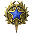 servicemedal92