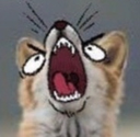 angryfoxscrem42