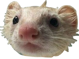 ratthingy