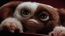 tierno71