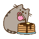 pusheenpancakes