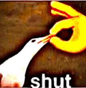 fcdeepfriedshut3