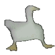 goosedance44