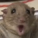 ratpog