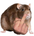 ratfinger