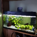 aquarium34