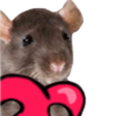 ratloves64