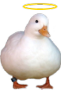 holyduck
