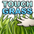 touchgrass29
