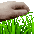 touchgrass96