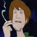 shaggy