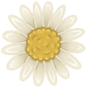 daisy4