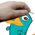 perrypetpet